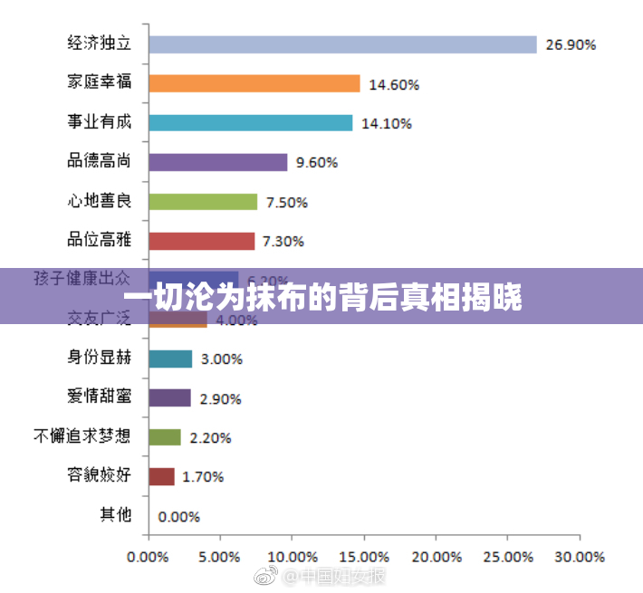 一切沦为抹布的背后真相揭晓