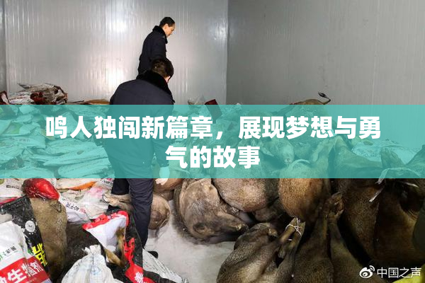 鸣人独闯新篇章，展现梦想与勇气的故事