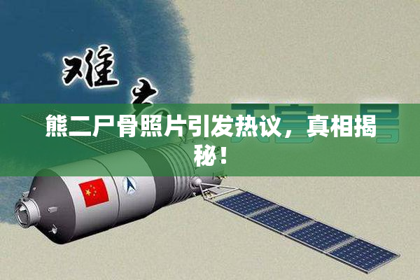 熊二尸骨照片引发热议，真相揭秘！