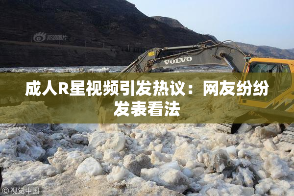 成人R星视频引发热议：网友纷纷发表看法