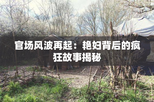 官场风波再起：艳妇背后的疯狂故事揭秘