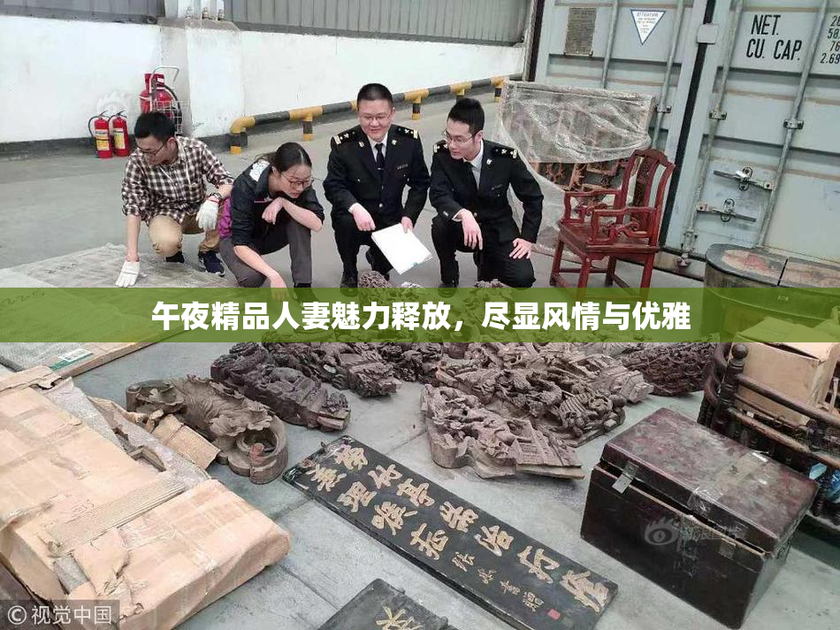 午夜精品人妻魅力释放，尽显风情与优雅