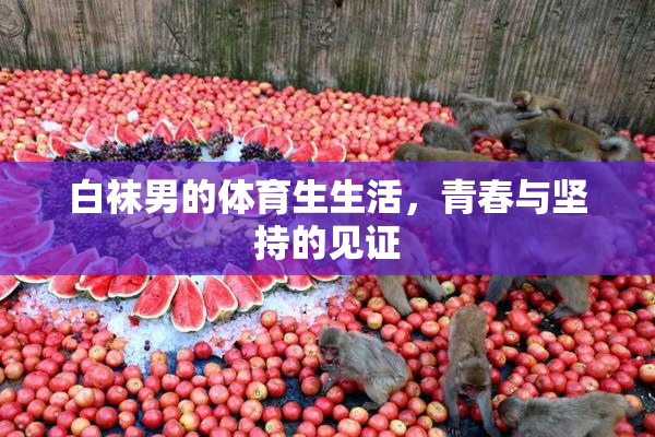 白袜男的体育生生活，青春与坚持的见证