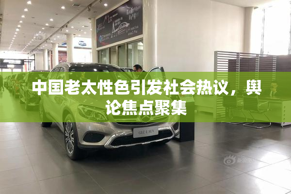 中国老太性色引发社会热议，舆论焦点聚集