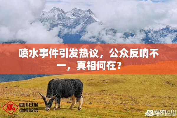 喷水事件引发热议，公众反响不一，真相何在？