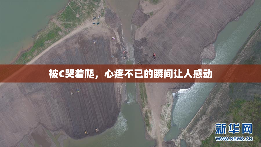 被C哭着爬，心疼不已的瞬间让人感动