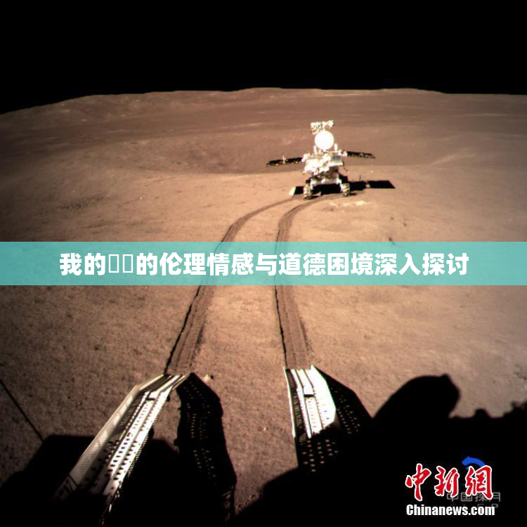 我的妺妺的伦理情感与道德困境深入探讨