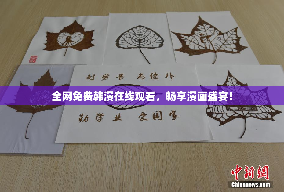 全网免费韩漫在线观看，畅享漫画盛宴！