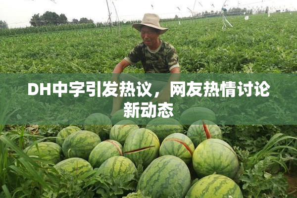 DH中字引发热议，网友热情讨论新动态