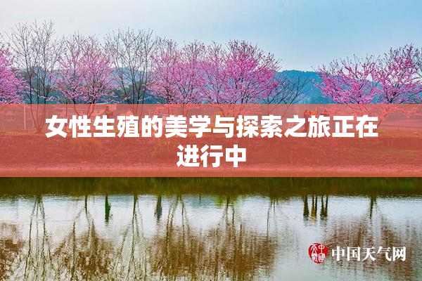 女性生殖的美学与探索之旅正在进行中