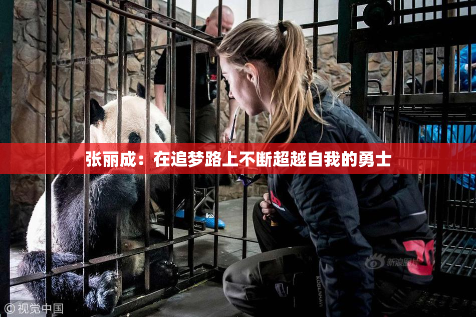 张丽成：在追梦路上不断超越自我的勇士