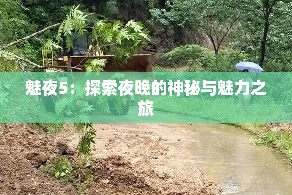 魅夜5：探索夜晚的神秘与魅力之旅