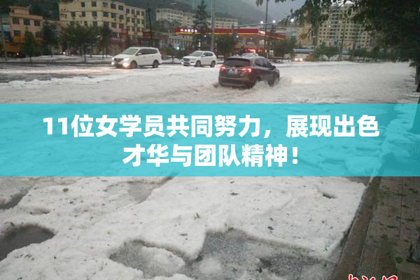 11位女学员共同努力，展现出色才华与团队精神！