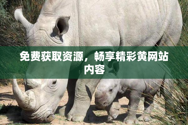 免费获取资源，畅享精彩黄网站内容