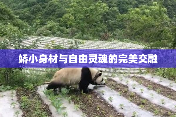娇小身材与自由灵魂的完美交融