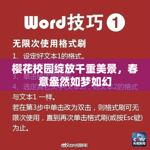樱花校园绽放千重美景，春意盎然如梦如幻