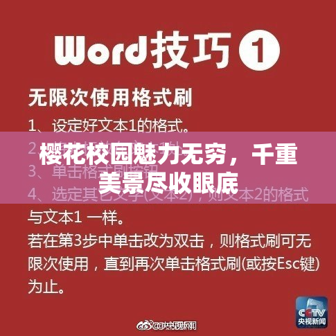 樱花校园魅力无穷，千重美景尽收眼底