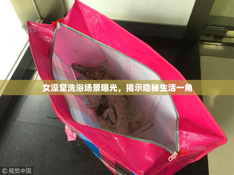 女澡堂洗浴场景曝光，揭示隐秘生活一角