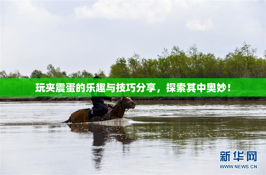 玩夹震蛋的乐趣与技巧分享，探索其中奥妙！