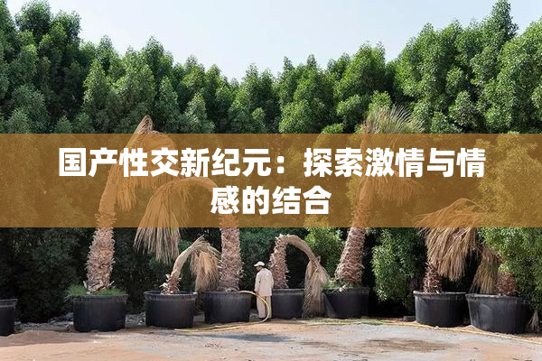 国产性交新纪元：探索激情与情感的结合
