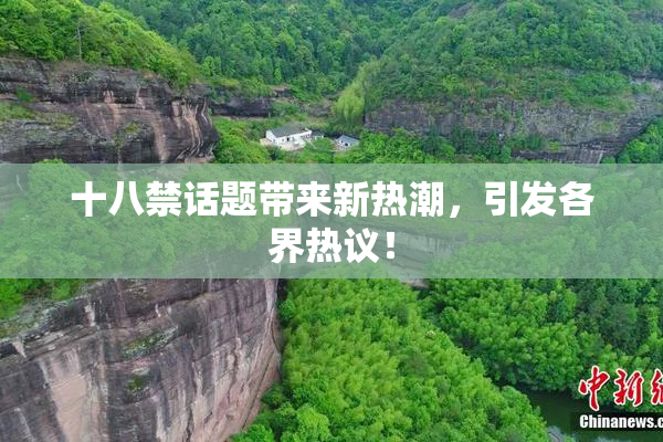十八禁话题带来新热潮，引发各界热议！