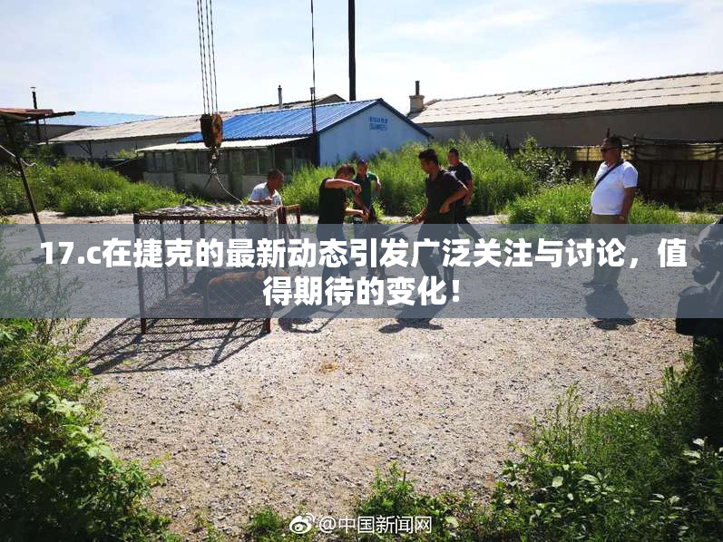 17.c在捷克的最新动态引发广泛关注与讨论，值得期待的变化！