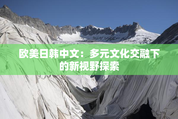 欧美日韩中文：多元文化交融下的新视野探索
