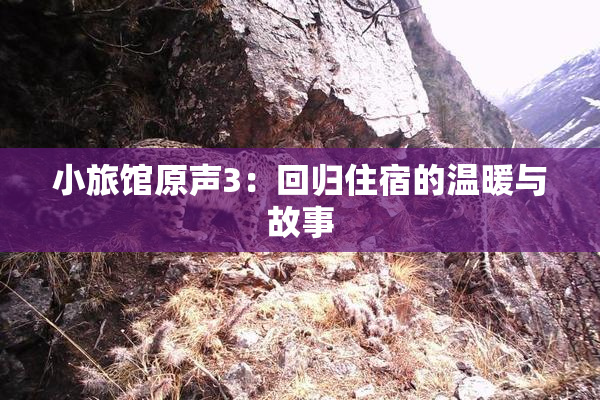 小旅馆原声3：回归住宿的温暖与故事