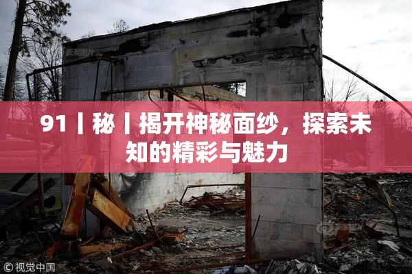 91丨秘丨揭开神秘面纱，探索未知的精彩与魅力