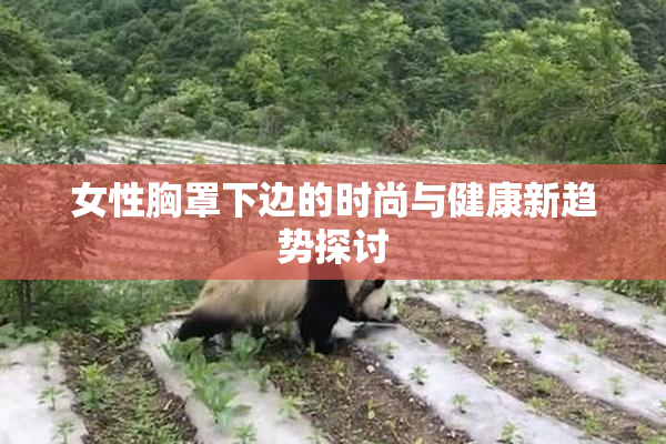 女性胸罩下边的时尚与健康新趋势探讨