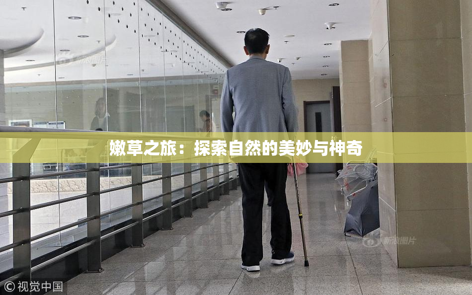 嫩草之旅：探索自然的美妙与神奇