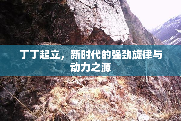 丁丁起立，新时代的强劲旋律与动力之源