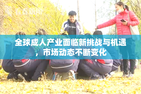 全球成人产业面临新挑战与机遇，市场动态不断变化