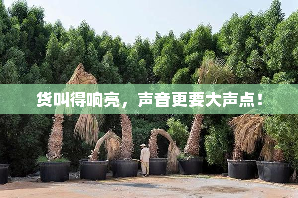 货叫得响亮，声音更要大声点！