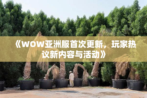 《WOW亚洲服首次更新，玩家热议新内容与活动》