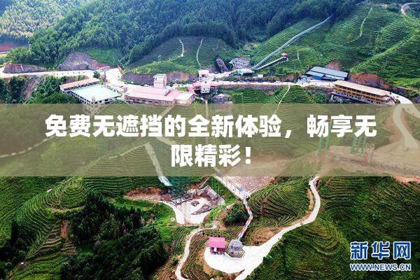 免费无遮挡的全新体验，畅享无限精彩！