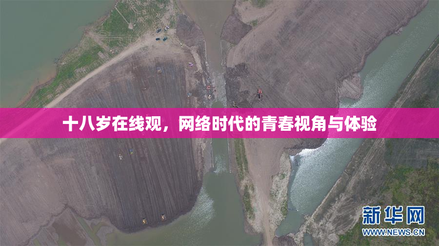 十八岁在线观，网络时代的青春视角与体验