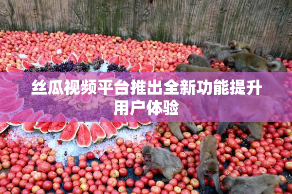 丝瓜视频平台推出全新功能提升用户体验