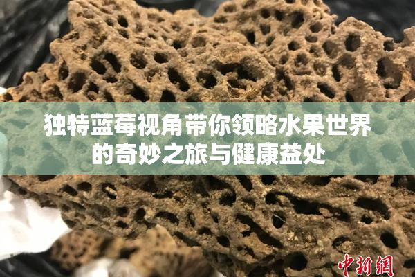 独特蓝莓视角带你领略水果世界的奇妙之旅与健康益处