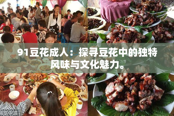 91豆花成人：探寻豆花中的独特风味与文化魅力。