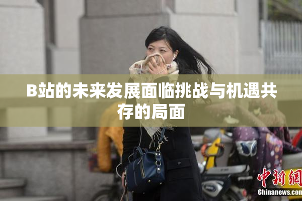 B站的未来发展面临挑战与机遇共存的局面