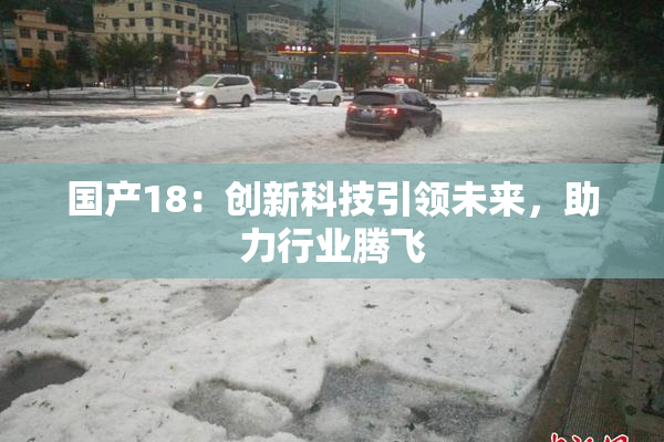 国产18：创新科技引领未来，助力行业腾飞