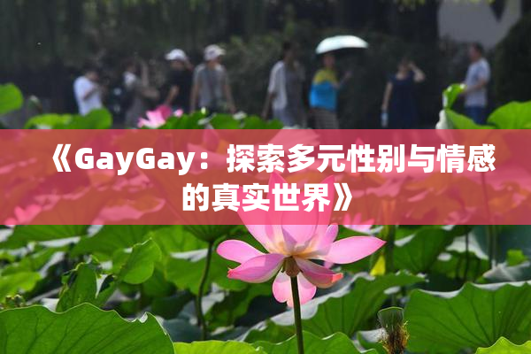 《GayGay：探索多元性别与情感的真实世界》