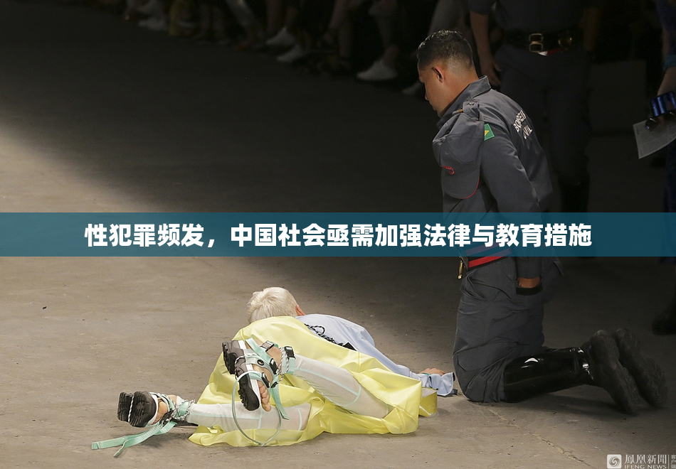 性犯罪频发，中国社会亟需加强法律与教育措施