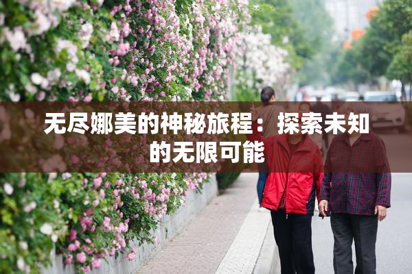 无尽娜美的神秘旅程：探索未知的无限可能