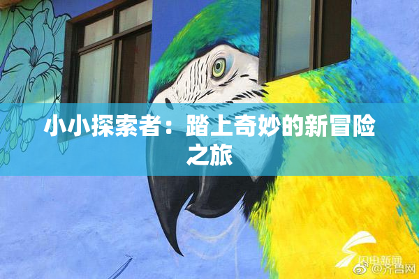 小小探索者：踏上奇妙的新冒险之旅