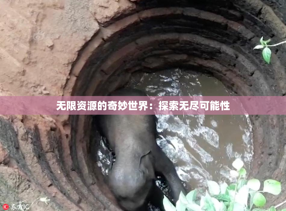 无限资源的奇妙世界：探索无尽可能性