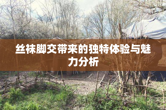 丝袜脚交带来的独特体验与魅力分析