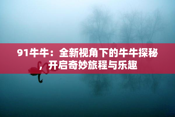 91牛牛：全新视角下的牛牛探秘，开启奇妙旅程与乐趣