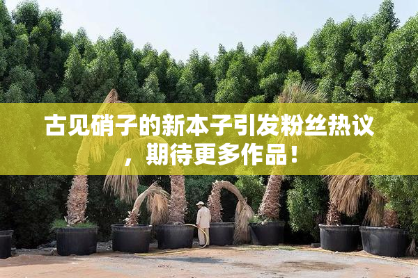 古见硝子的新本子引发粉丝热议，期待更多作品！
